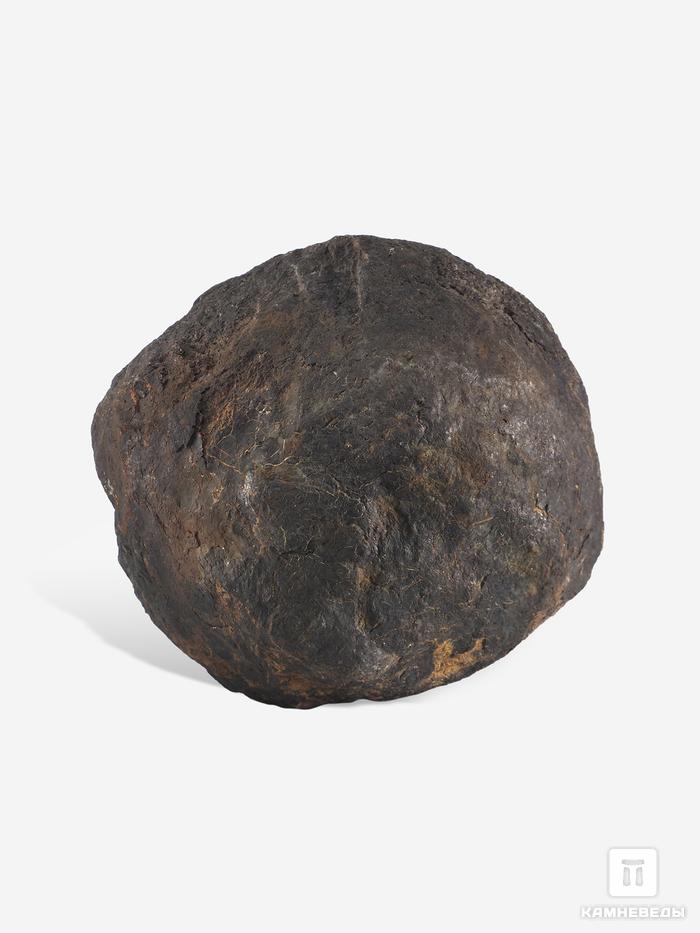 Угольная почка (Coal boll), 10,1х9,1х6,8 см, 25306, фото 2