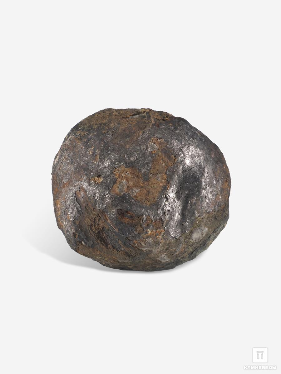 Угольная почка (Coal boll), 6,5х6,2х4,8 см угольная почка coal boll с отпечатком корней папоротника psaronius sp 25 9х12 1х2 5 см