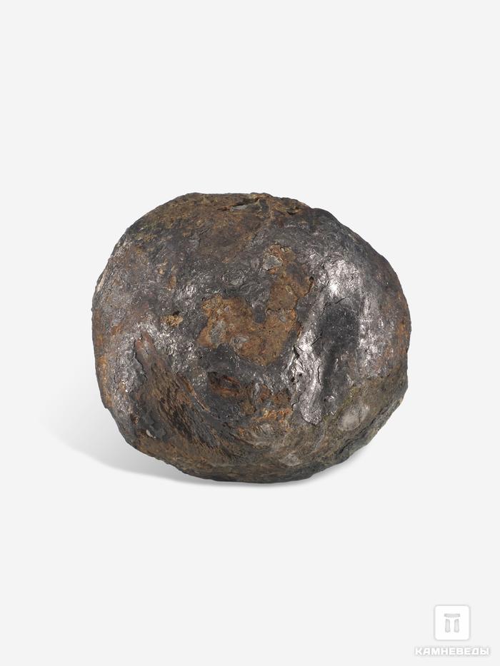Угольная почка (Coal boll), 6,5х6,2х4,8 см, 25307, фото 1