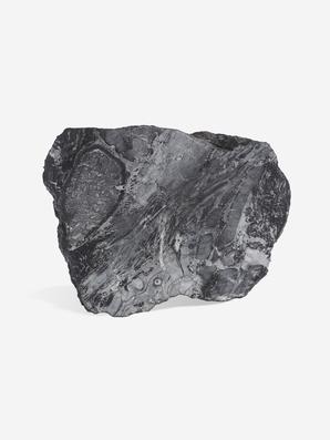 Угольная почка (Coal boll) с отпечатком Meyloxylon sp., 9х6,5х2,8 см