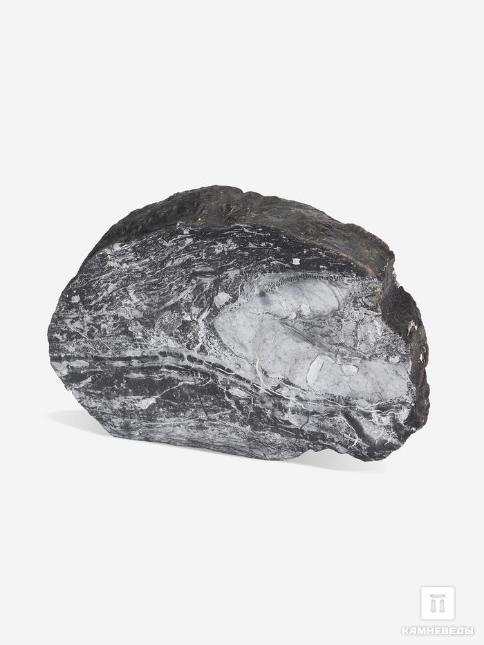 Угольная почка (Coal ball) с отпечатком стебля Medullosales sp., 15,2х10,5х3,2 см, 25295, фото 1