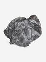 Угольная почка (Coal boll) с отпечатком стеблей Medullosales sp., 18,3х12,5х2,2 см, 25298, фото 1