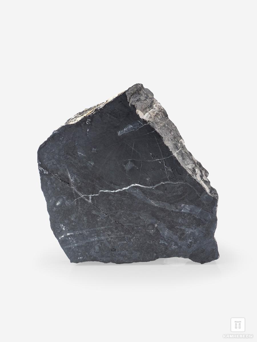 Угольная почка (Coal boll), 11,7х10,2х4,4 см угольная почка coal boll с отпечатком корней папоротника psaronius sp 25 9х12 1х2 5 см