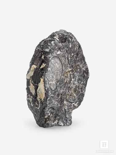 Угольная почка. Угольная почка (Coal boll), 14,2х7,9х6,1 см