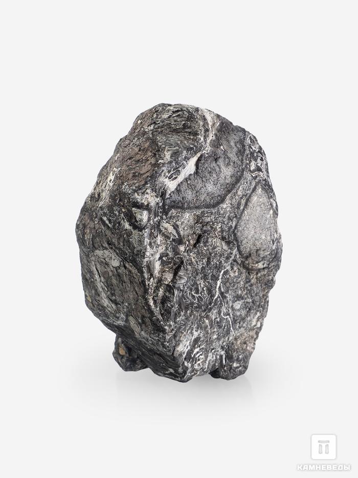 Угольная почка (Coal ball), 14,2х7,9х6,1 см, 25352, фото 2