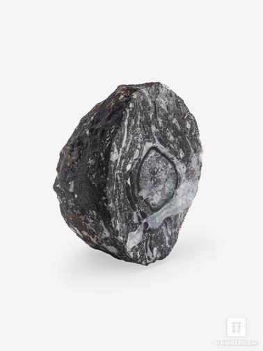 Угольная почка. Угольная почка (Coal ball) с отпечатком ветки Meyloxylon sp., 6,7х4,6х3,9 см