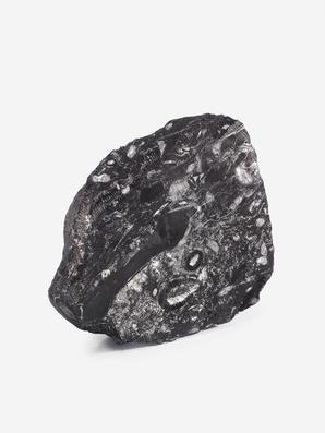 Угольная почка (Coal boll) с отпечатком стебля Artropytes, 14,1х12,6х4,1 см