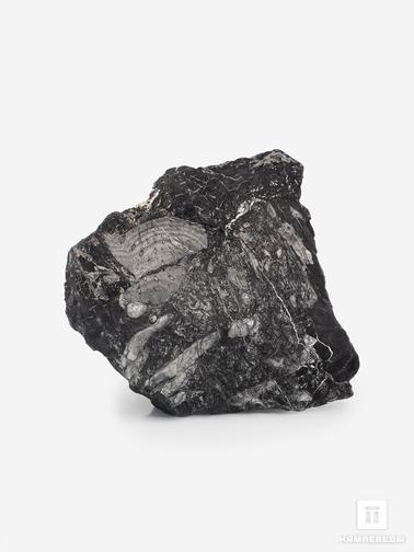 Угольная почка. Угольная почка (Coal boll), 12,5х11,6х7,7 см