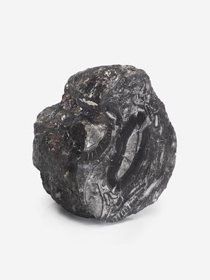 Угольная почка (Coal boll), 10,6х9,7х7,1 см