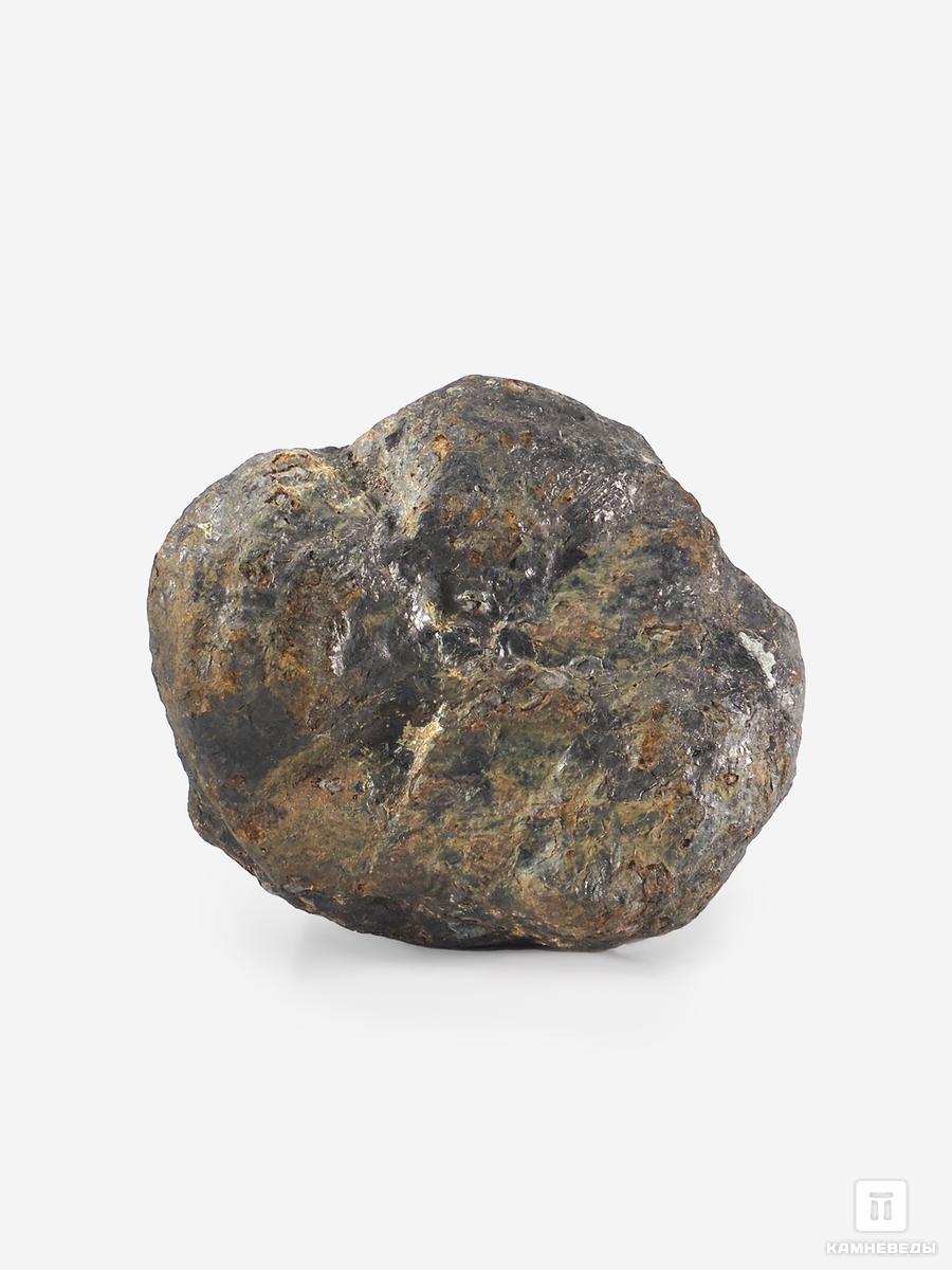 Угольная почка (Coal boll), 5,6х4,7х2,4 см угольная почка coal boll с отпечатком корней папоротника psaronius sp 25 9х12 1х2 5 см