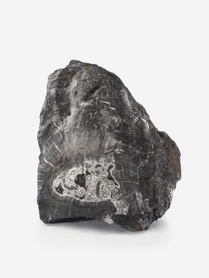 Угольная почка (Coal boll), 10,4х6,9х6,8 см