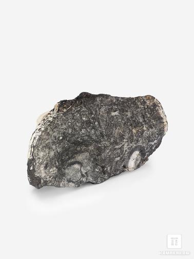 Угольная почка. Угольная почка (Coal boll), 17,5х10,4х5,7 см