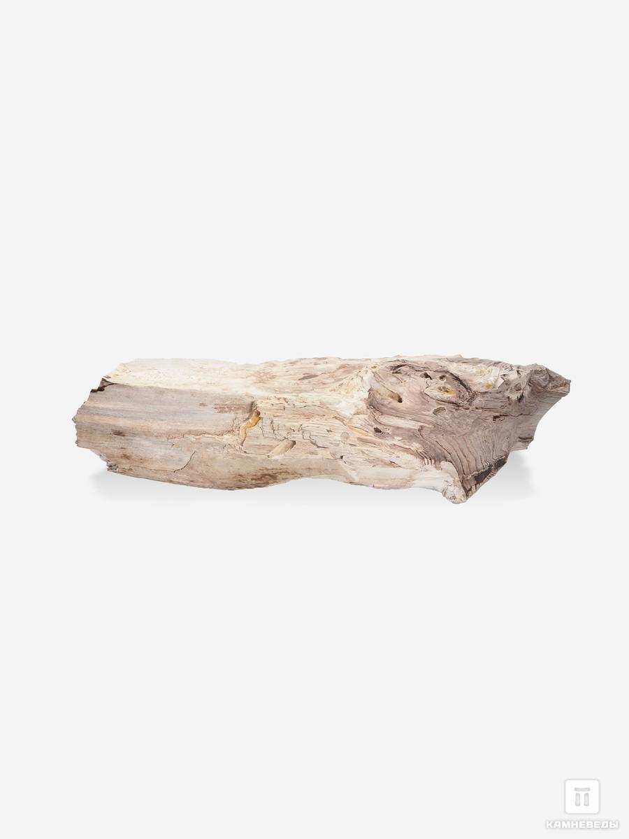 Окаменелое дерево, 39,5х10х8 см натуральный камень udeco fossilized wood окаменелое дерево xs 0 5 3 кг