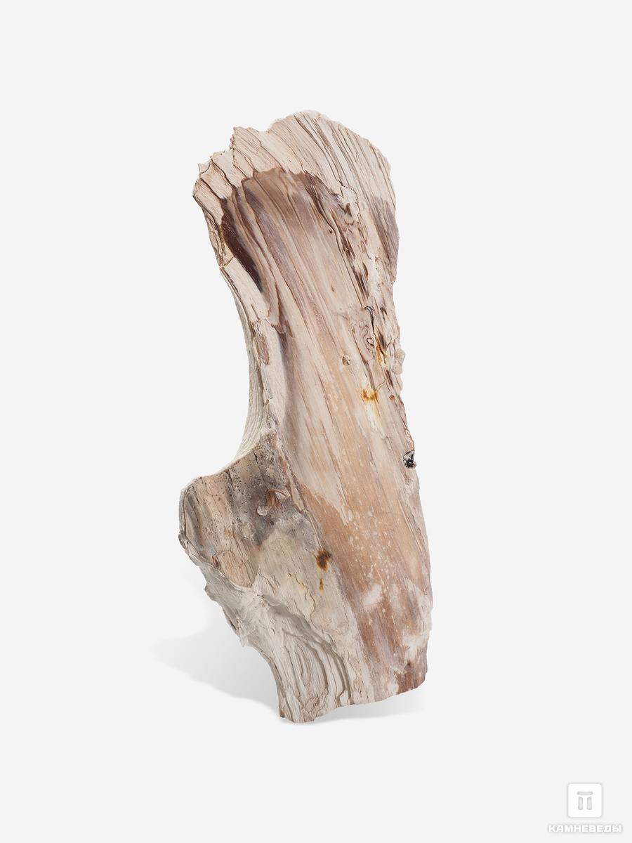 Окаменелое дерево, 34х14х7,5 см натуральный камень udeco fossilized wood окаменелое дерево xs 0 5 3 кг