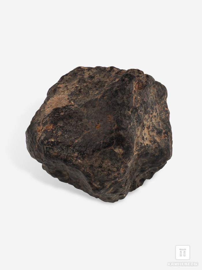 Метеорит NWA 869, 4х3,4х2,9 см (54,1 г), 25705, фото 1