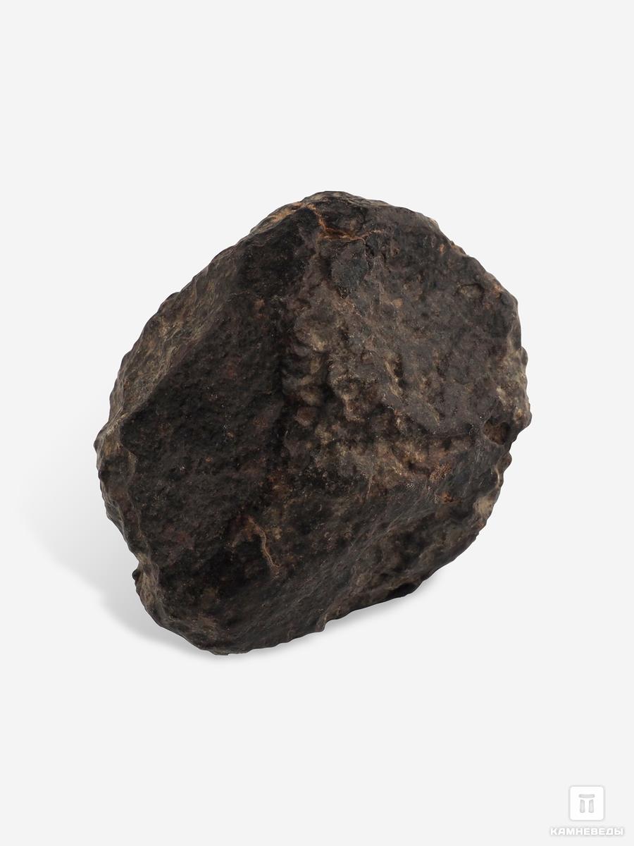Метеорит NWA 869, 4х3,4х2,9 см (54,1 г), 25705, фото 2