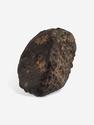 Метеорит NWA 869, 3,9х3,2х2,8 см (49,3 г), 25703, фото 2