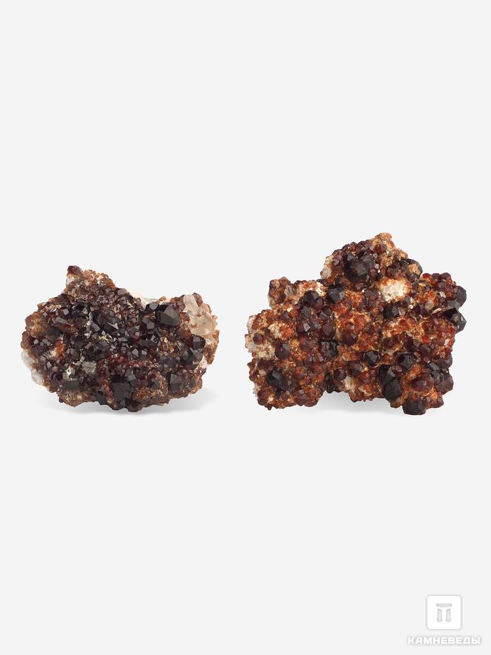 Спессартин (гранат), кристаллы на породе 4,2х2,6 см, 25576, фото 2