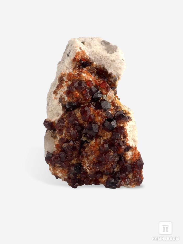 Спессартин (гранат), кристаллы на породе 4,2х2,4 см, 25575, фото 1