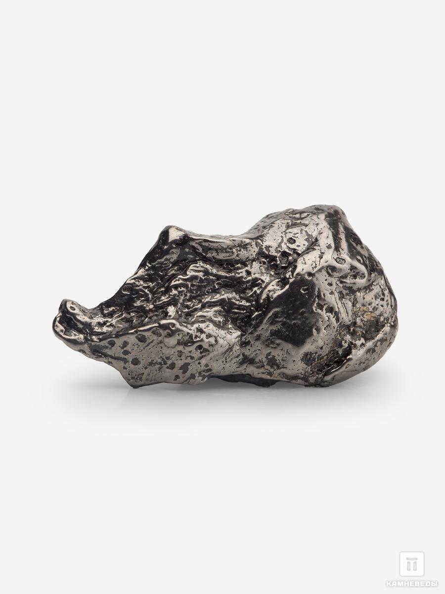 Метеорит «Сихотэ-Алинь», осколок 5-6 г воспоминания железного канцлера