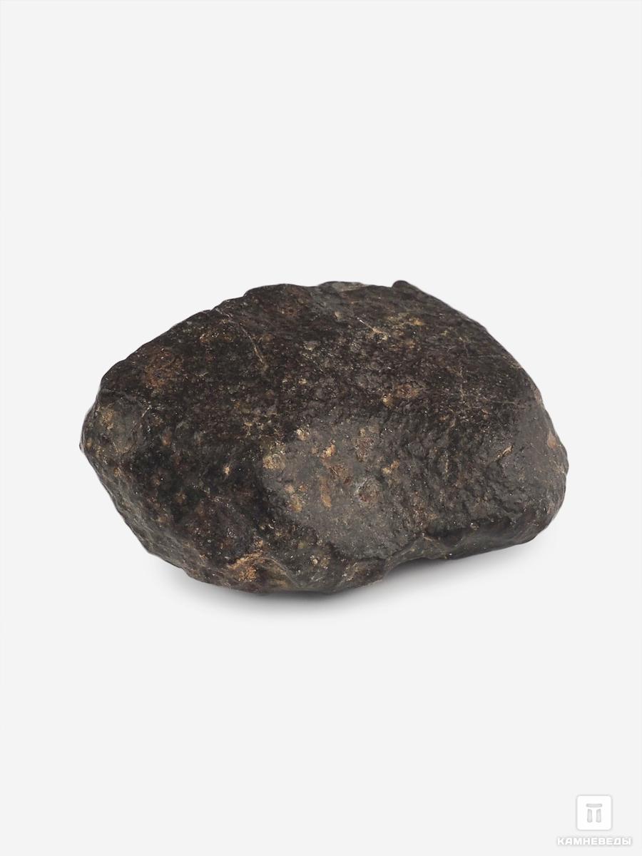 Метеорит NWA 869, 3,1х2,7х1,5 см (21 г) путешествие незнайки в каменный город