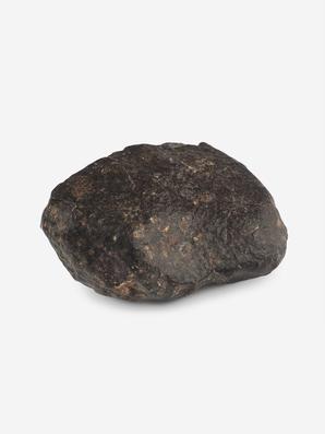 Метеорит NWA 869, 3,1х2,7х1,5 см (21 г)