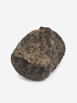 Метеорит NWA 869, 2-3 см (14-15 г)