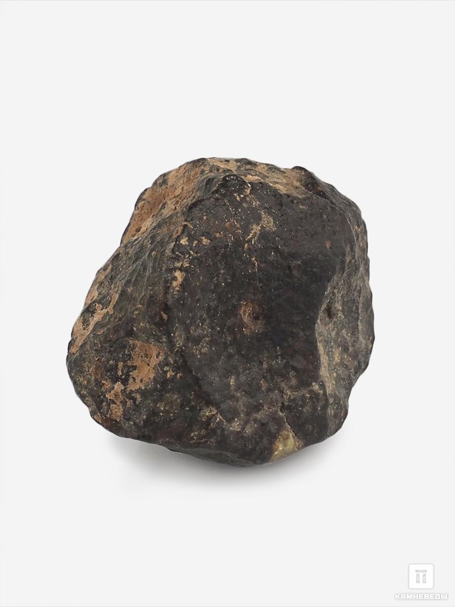 Метеорит NWA 869, 2,6х2,3х2 см (19,5 г) путешествие незнайки в каменный город