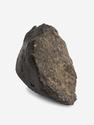 Метеорит NWA 869, 3,6х2,7х1,9 см (23,1 г), 10-110/9, фото 1