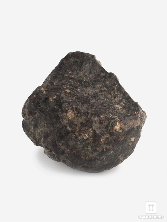 Метеорит NWA 869, 3,9х3,5х2,2 см (47,6 г), 25702, фото 1