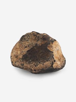 Метеорит NWA 869, 3,6х3,1х2 см (35,6 г)