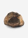 Метеорит NWA 869, 3,6х3,1х2 см (35,6 г), 25701, фото 1