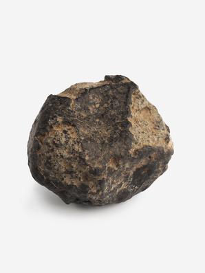 Метеорит NWA 869, 3,8х3х2,5 см (47,4 г)