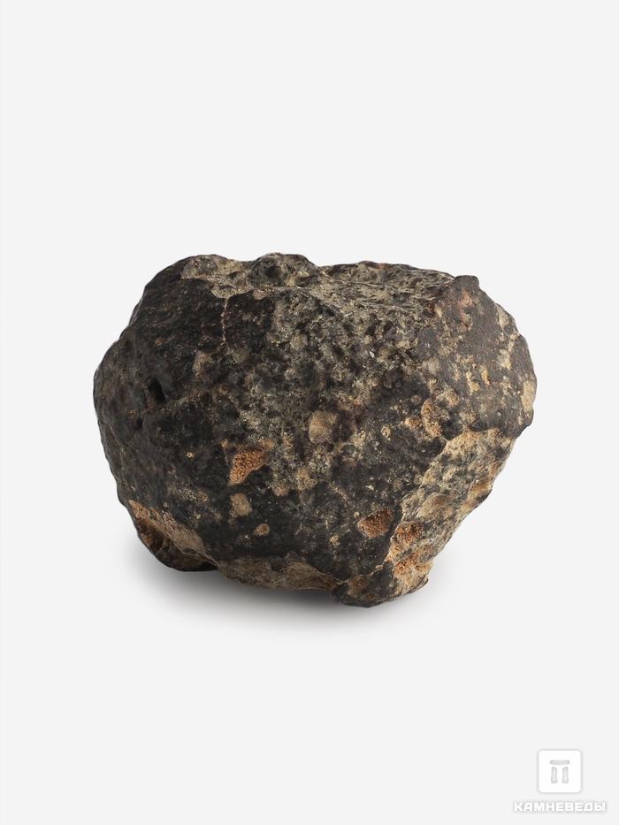 Метеорит NWA 869, 3,8х3х2,5 см (47,4 г), 10-110/1, фото 2