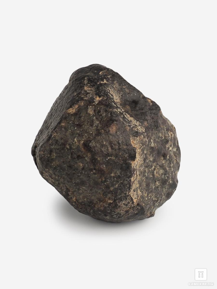 Метеорит NWA 869, 3,1х3х2,5 см (35,6 г) путешествие незнайки в каменный город