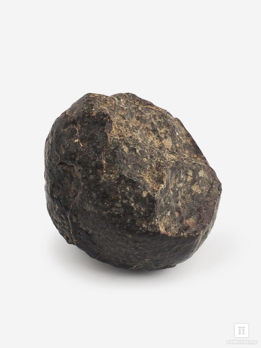 Метеорит NWA 869, 2,6х2,5х2 (23 г) путешествие незнайки в каменный город