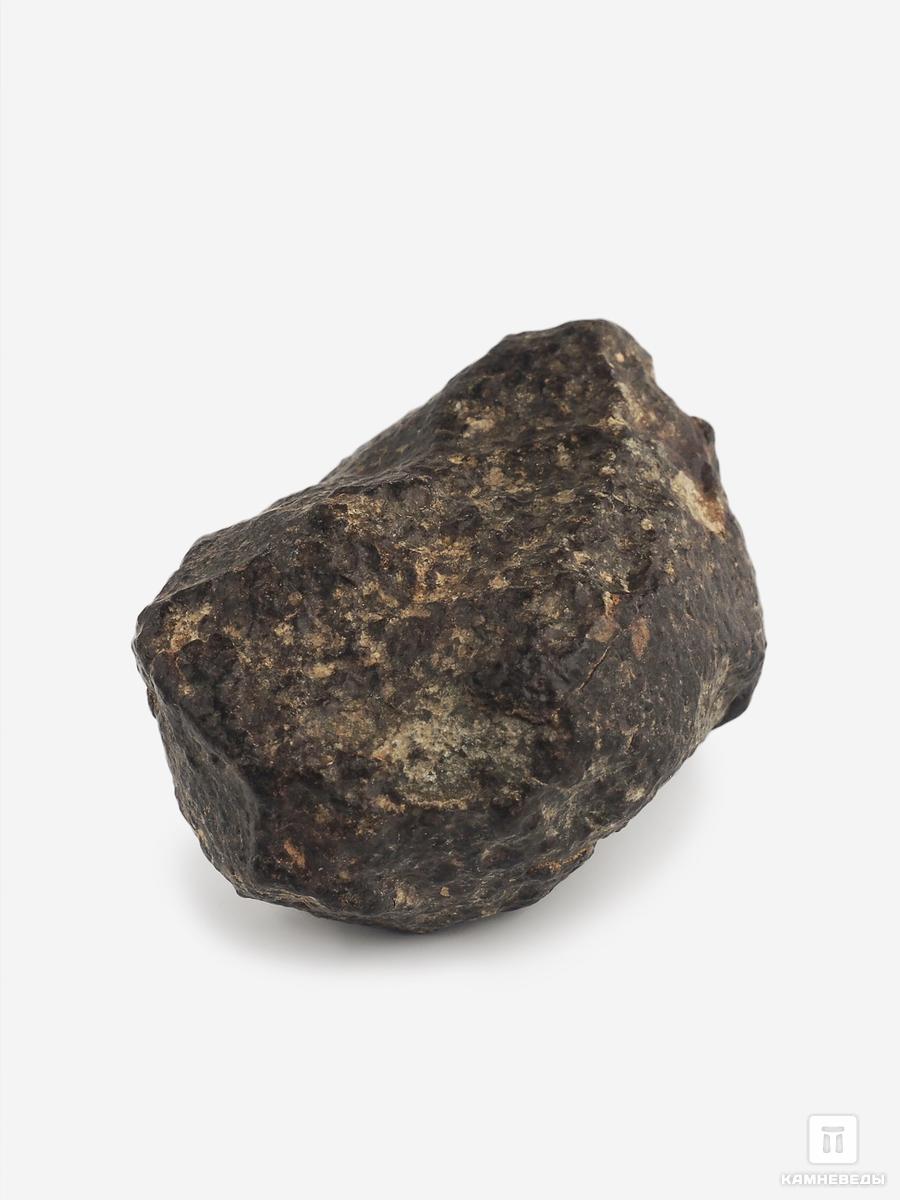 Метеорит NWA 869, 4,3х3,1х2,1 см (51,2 г) каменный след