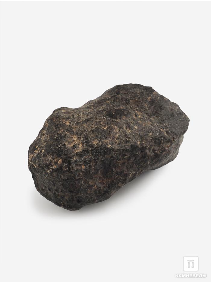 Метеорит NWA 869, 4,3х3,1х2,1 см (51,2 г), 25704, фото 2