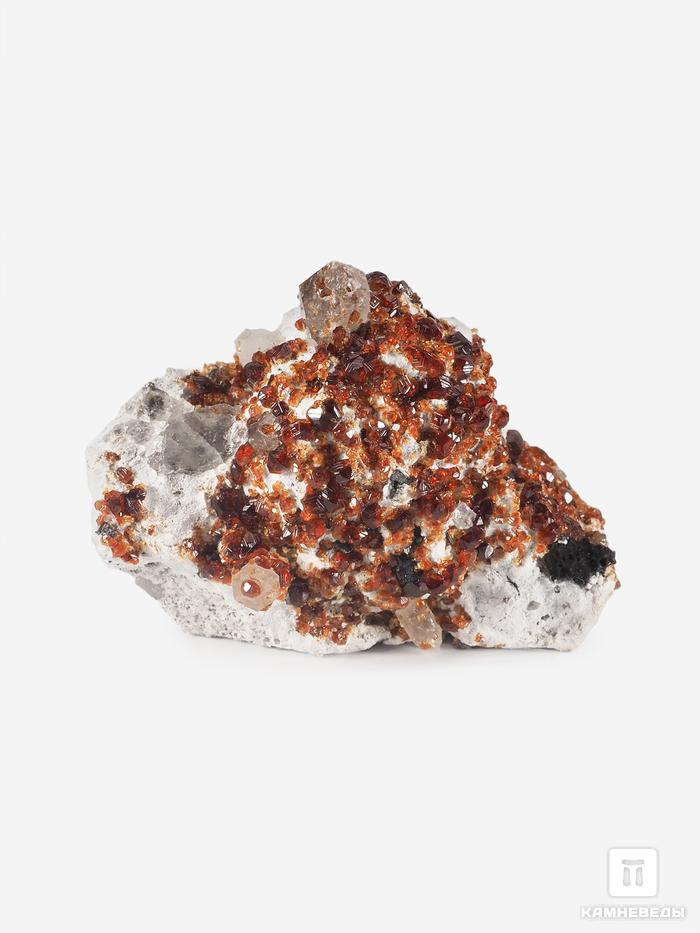 Спессартин (гранат), кристаллы на породе 4,6х3,4 см, 25571, фото 1