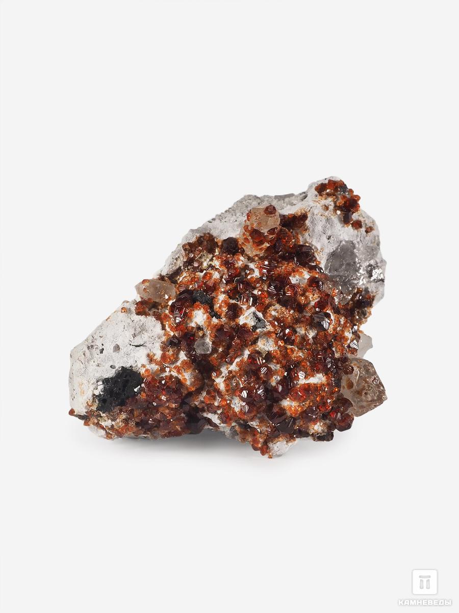 Спессартин (гранат), кристаллы на породе 4,6х3,4 см, 25571, фото 2