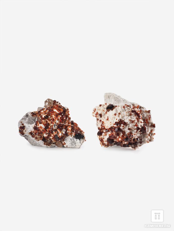 Спессартин (гранат), кристаллы на породе 4,6х3,4 см, 25571, фото 3