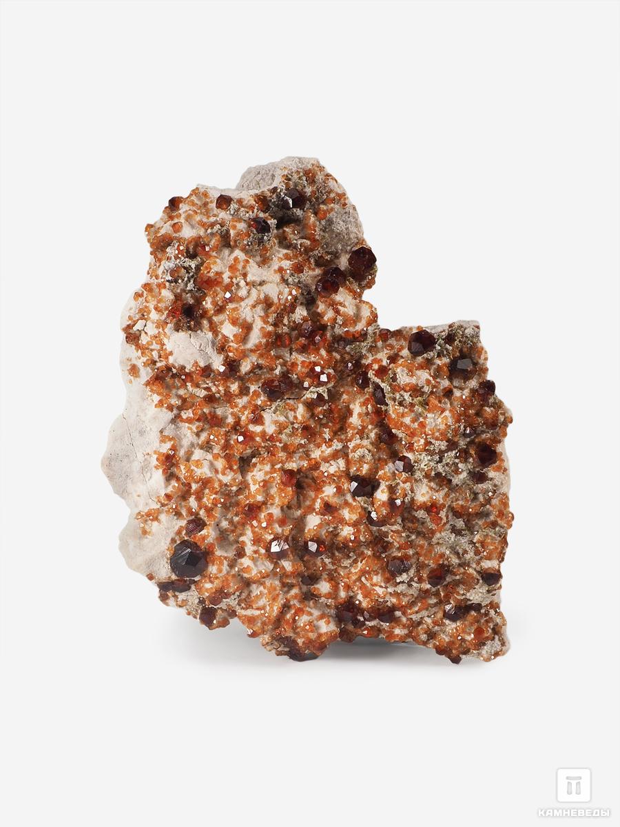 Спессартин (гранат), кристаллы на породе 5,5х4,5 см, 25572, фото 1