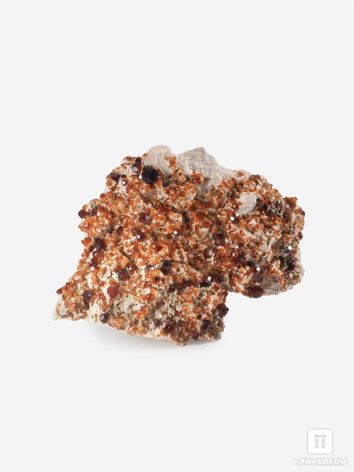 Спессартин (гранат), кристаллы на породе 5,5х4,5 см, 25572, фото 2