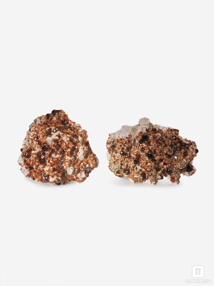 Спессартин (гранат), кристаллы на породе 5,5х4,5 см, 25572, фото 3