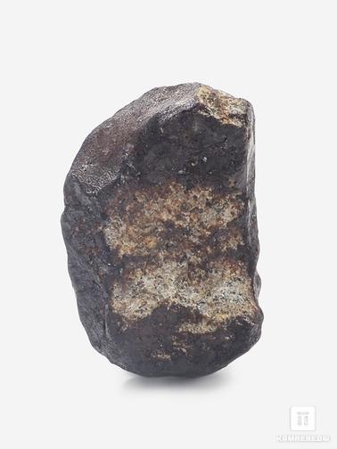 Метеориты. Метеорит Челябинск LL5, 2,2х1,4х0,7 см (4 г)