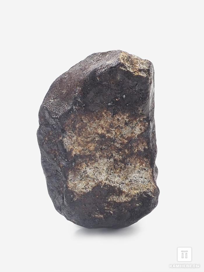 Метеорит Челябинск LL5, 2,2х1,4х0,7 см (4 г), 25404, фото 1