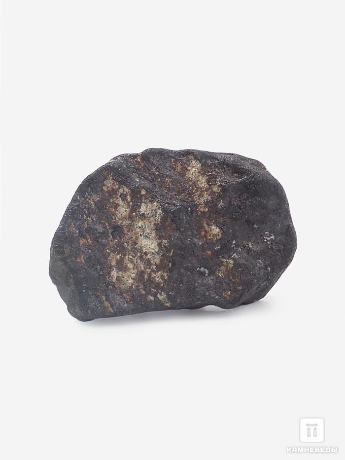 Метеорит Челябинск LL5, 2,2х1,4х0,7 см (4 г), 25404, фото 2