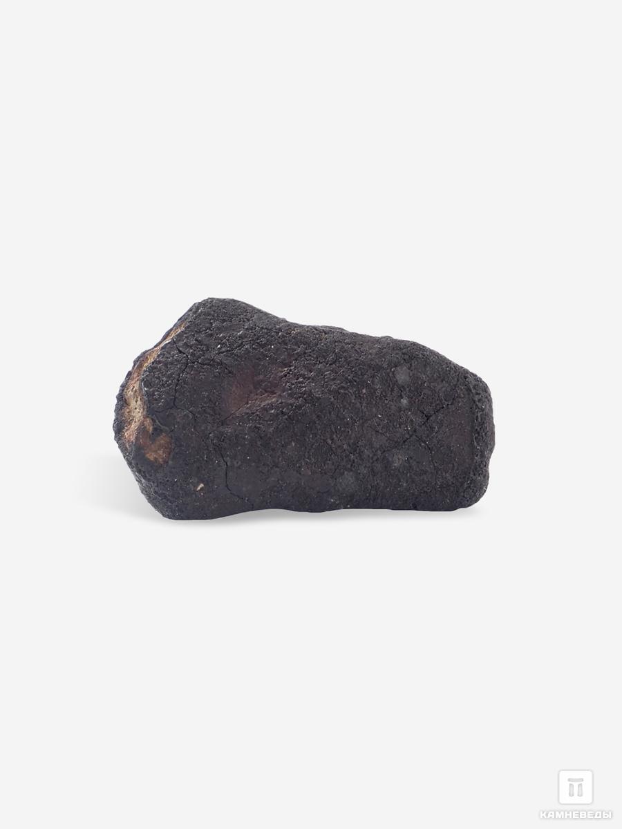 Метеорит Челябинск LL5, 2,2х1,2х1,1 см (5,1 г), 25415, фото 3