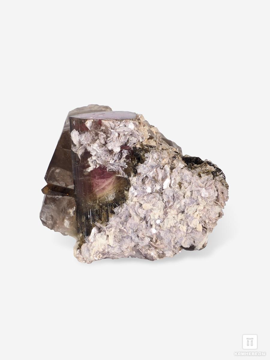 Турмалин арбузный на кварце с лепидолитом, 6,5х4,2х3,6 см, 25827, фото 2