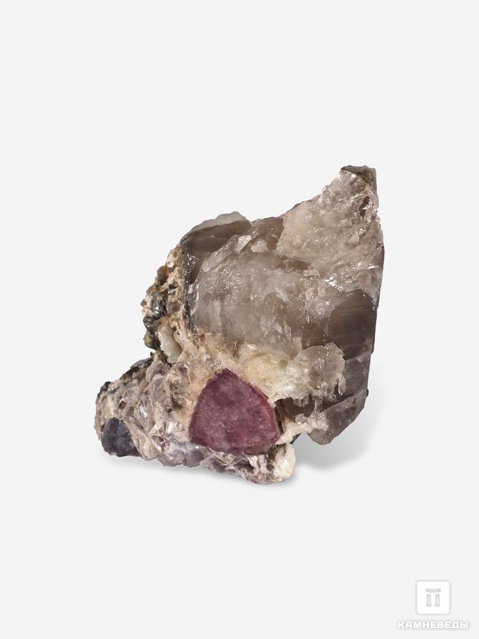 Турмалин арбузный на кварце с лепидолитом, 6,5х4,2х3,6 см, 25827, фото 4